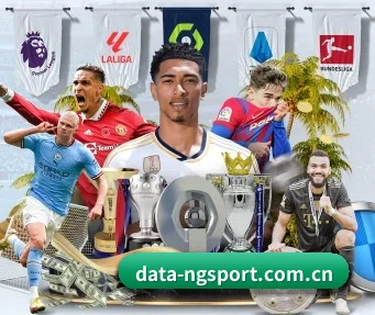 NG体育 APP