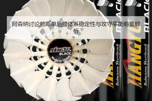 阿森纳讨论赖斯单后腰体系稳定性与攻守平衡前景解析