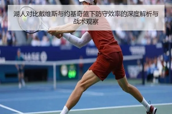 湖人对比戴维斯与约基奇篮下防守效率的深度解析与战术观察