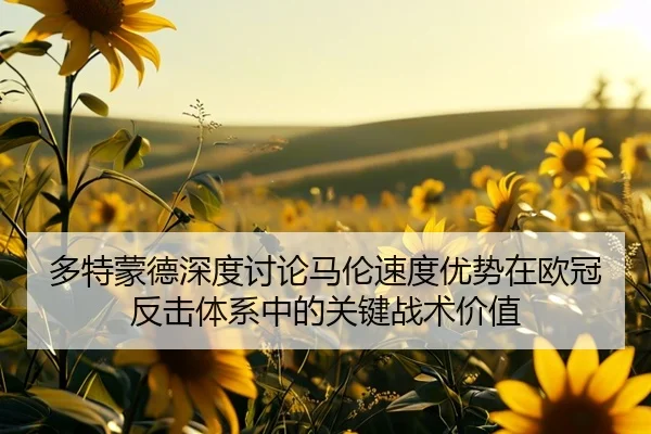 多特蒙德深度讨论马伦速度优势在欧冠反击体系中的关键战术价值